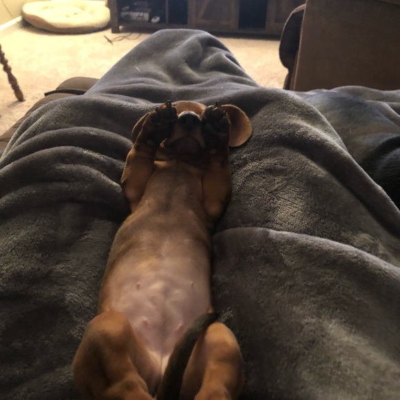 Meet your Posher, Sarah - Picture 1 of 1